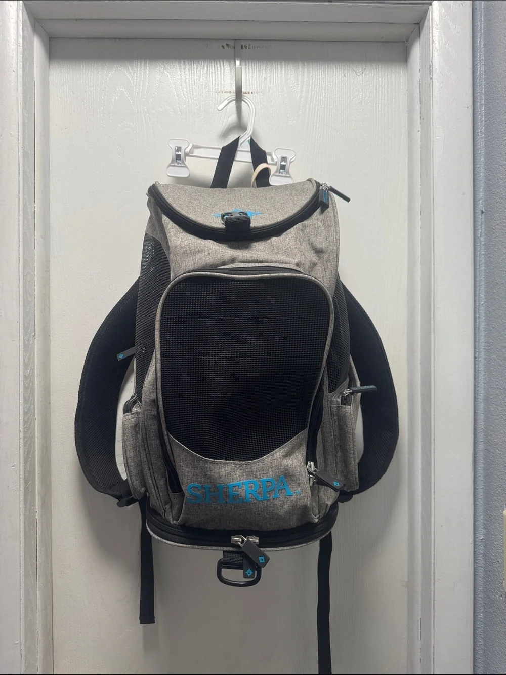 Sherpa 2 in 1 Backpack pet carrier
